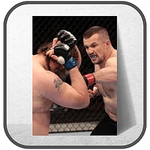 Mirko Cro Cop Posters