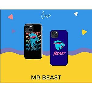 MrBeast Cases