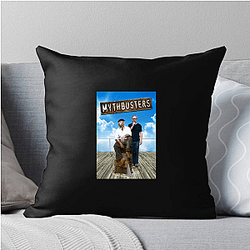 MythBusters' main hosts are Adam Savage and Jamie Hyneman Myth Busters Pillows Cover