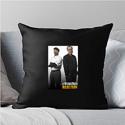 MythBusters premiered in 2003 Myth Busters Pillows Cover