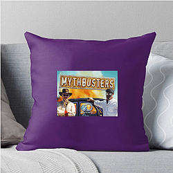 MythBusters ran for a total of 14 seasons Myth Busters Pillows Cover