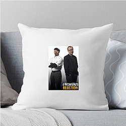 MythBusters premiered in 2003 Myth Busters Pillows Cover
