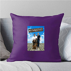 MythBusters' main hosts are Adam Savage and Jamie Hyneman Myth Busters Pillows Cover