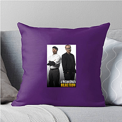 MythBusters premiered in 2003 Myth Busters Pillows Cover
