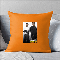 MythBusters premiered in 2003 Myth Busters Pillows Cover