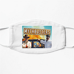 MythBusters ran for a total of 14 seasons Myth Busters Face Masks
