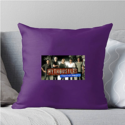 MythBusters aired on the Discovery Channel Myth Busters Pillows Cover