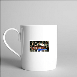 MythBusters aired on the Discovery Channel Myth Busters Mugs