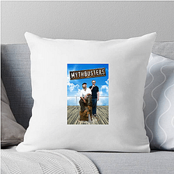 MythBusters' main hosts are Adam Savage and Jamie Hyneman Myth Busters Pillows Cover