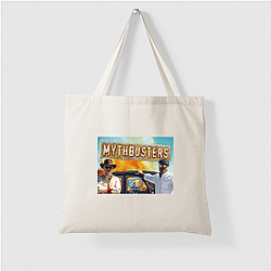 MythBusters ran for a total of 14 seasons Myth Busters Bags