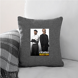 MythBusters premiered in 2003 Myth Busters Pillows Cover