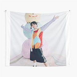Jaehee NCT Wish Tapestry