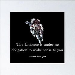 Neil deGrasse Tyson The Universe Poster