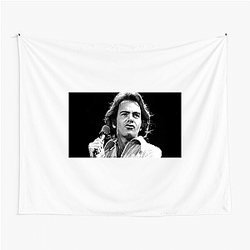 Neil Diamond's music spans pop, rock, and folk Neil Diamond Tapestries