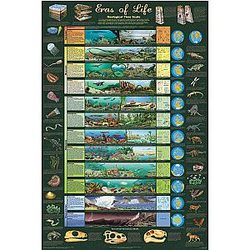 ERAS of Life Poster 24x36 Illustrated Geological Chart New Edition Art Print