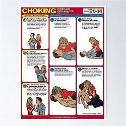 Sexy CPR Poster - New Girl Poster