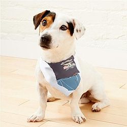 Niall Ireland Flag Irish Pride Sketch Pet Bandanas Premium Merch Store