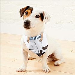 Niall Horan Heartbreak Weather Pet Bandanas Premium Merch Store