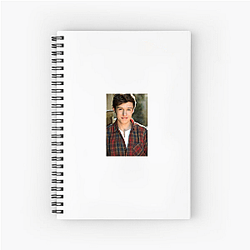 Nick Robinson is known for his work in young adult films Nick Robinson Notebook