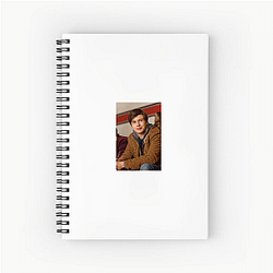 Nick Robinson is known for the series Melissa and Joey Nick Robinson Notebook