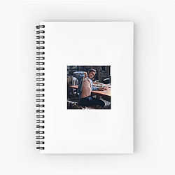 Nick Robinson also appeared in a Broadway play Nick Robinson Notebook