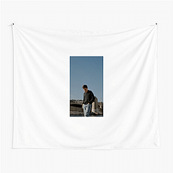 Nick Robinson is a prominent young actor Nick Robinson Tapestries