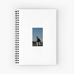 Nick Robinson is a prominent young actor Nick Robinson Notebook
