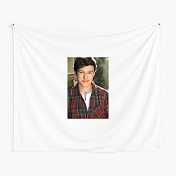 Nick Robinson is known for his work in young adult films Nick Robinson Tapestries