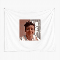 Nick Robinson has a versatile acting career Nick Robinson Tapestries