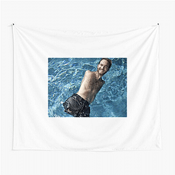Global Motivator Nick Vujicic Tapestries