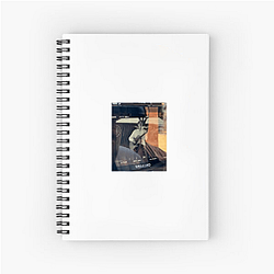 Nicky Youre – Catchy Vibes Limited Collection Nicky Youre Notebook