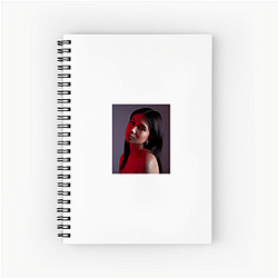 Soulful Singer Niki Notebook