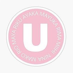 NIZIU All Members Names Sticker