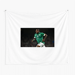 Obafemi The World Is My Stage Obafemi Tapestries