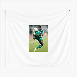 Obafemi The Best Footballer Obafemi Tapestries