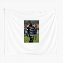 Obafemi My Favorite Striker Obafemi Tapestries