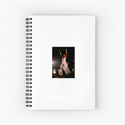 Olivia Dean performed at the Glastonbury Festival Olivia Dean Notebook