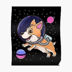 オムニセクシュアルポスター - オムニセクシャルコルギ宇宙オムニセクシャルプライドポスターRB1901
