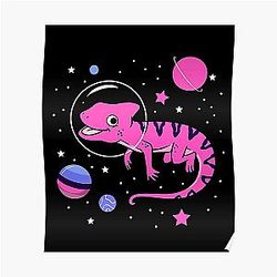 Omnisessuale Posters - Omnisessuale Chameleon Nello spazio Omnisessuale Pride Poster RB1901