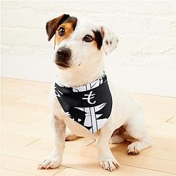 Omori Omori Kel Aubrey Und Hero Pet Bandanas Premium Merch Store