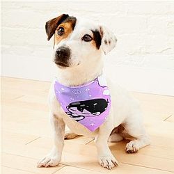 Omori Hero Tshirt Omori Anime Game Pet Bandanas Premium Merch Store