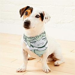 Omori My Thoughts Will Follow You Into Your Dreams Basil Pet Bandanas Premium Merch Store