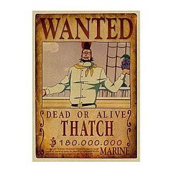 Thatch Wanted Search Notice OMN1111