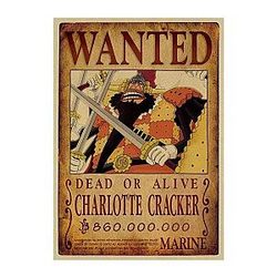 Charlotte Cracker Wanted OMN1111