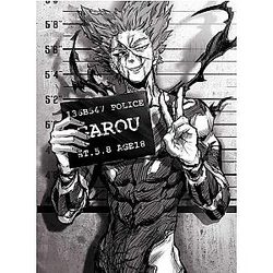 One Punch Man Posters - Canvas Poster One Punch Man Garou BS0508