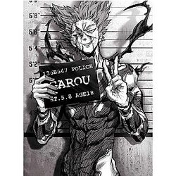 One Punch Man Wall Art - Stampa su tela Garou SA3105