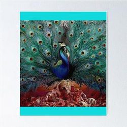 Sorceress cover Poster