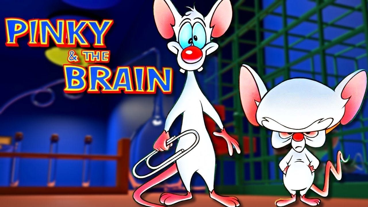 Unlock the World of Mischief at the Pinky And The Brain Store!