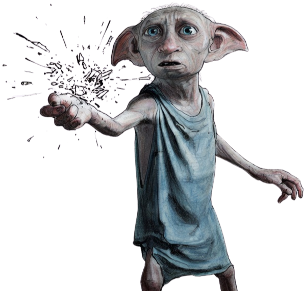 Dobby Store Secrets: How a Film Icon Became a Retail Legend