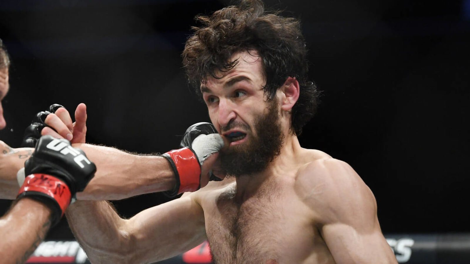 Zabit Magomedsharipov Shop: Elite Gear for a UFC Pro